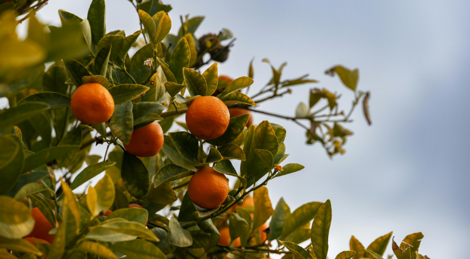 Changing Consumer Habits Are Reshaping American Manufacturing